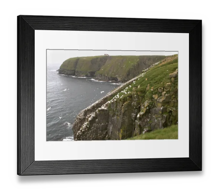 Framed Print : Bird rock at Cape St. Mary's ecological seabird reserve