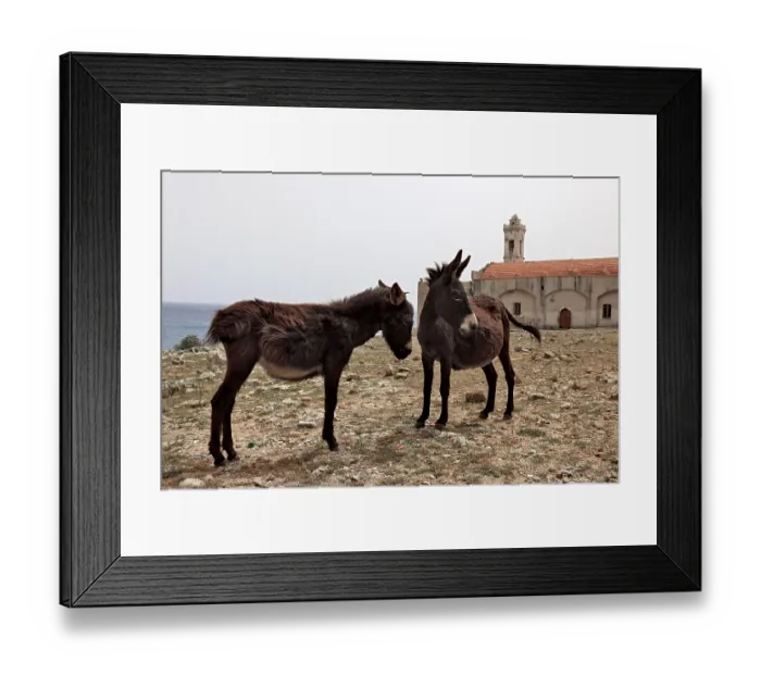 Framed Print : The Monastery of St Andrew on the Karpaz Peninsula