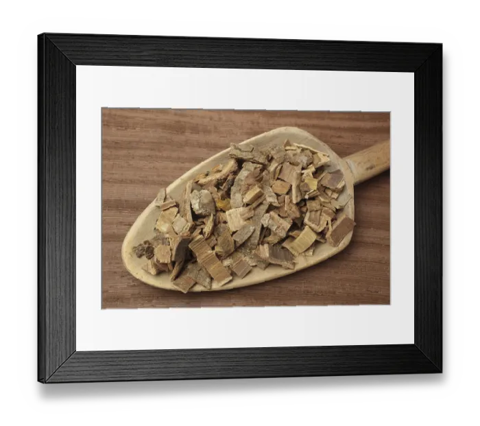 Framed Print : Bark of the medicinal plant coral tree Framed Print : Bark of the medicinal plant coral tree