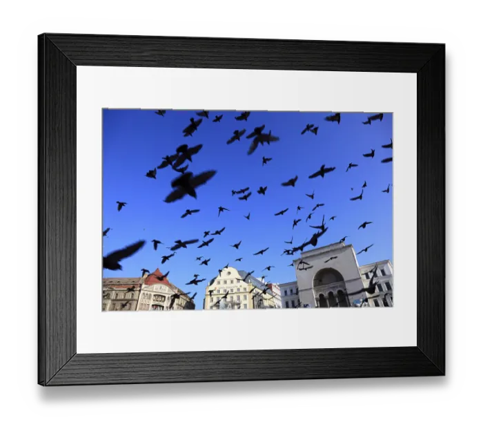 Framed Print : Banat, Timisoara, Timisoara, Old Town