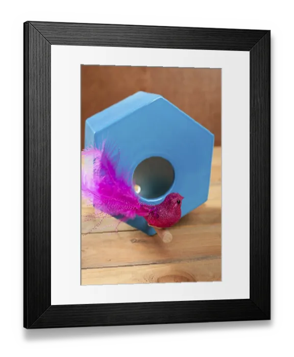 Framed Print : Bird in blue nest house polygonal shape over wood