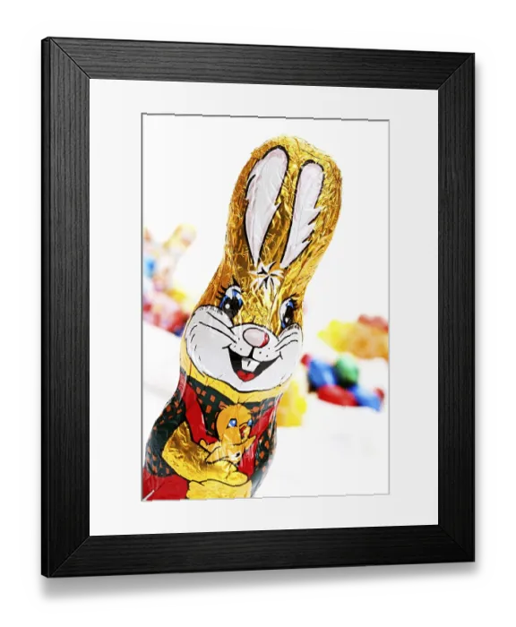 Framed Print : Chocolate easter bunny Framed Print : Chocolate easter bunny