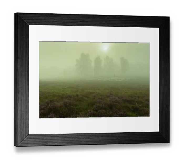 Framed Print : Shepherd with a flock of sheep in the heath at the Thulsfeld dam at sunrise in the fog
