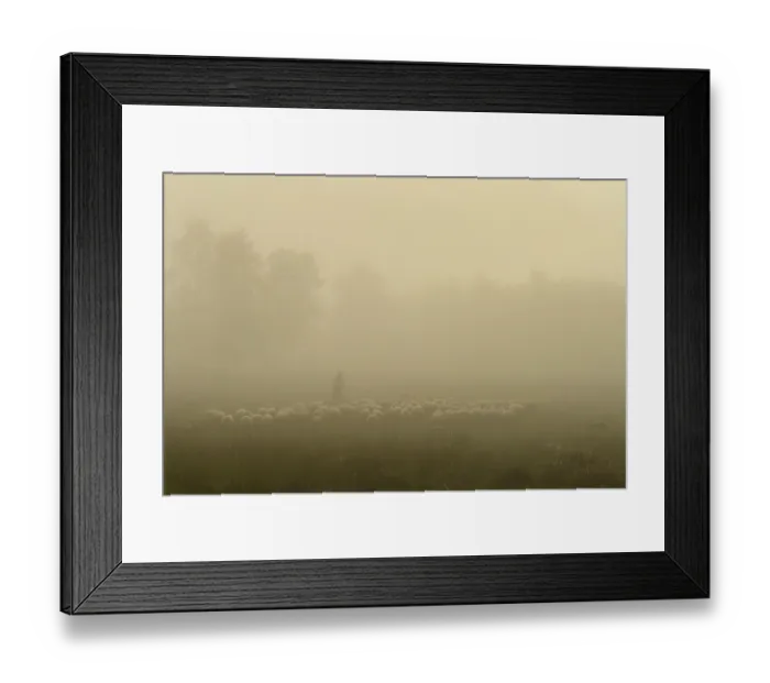 Framed Print : Shepherd with a flock of sheep in the heath at the Thulsfeld dam at sunrise in the fog