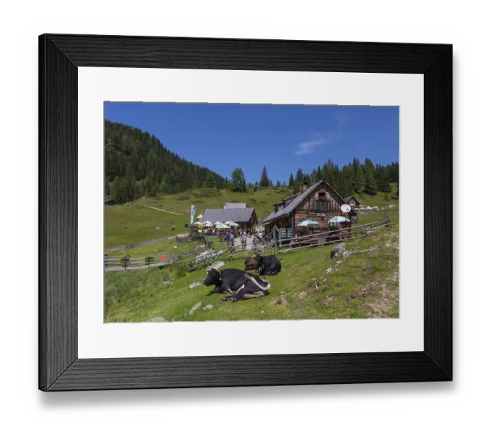 Framed Print : Herd of cattle in front of the Fahrlechhutte at the Duisitzkarsee Framed Print : Herd of cattle in front of the Fahrlechhutte at the Duisitzkarsee