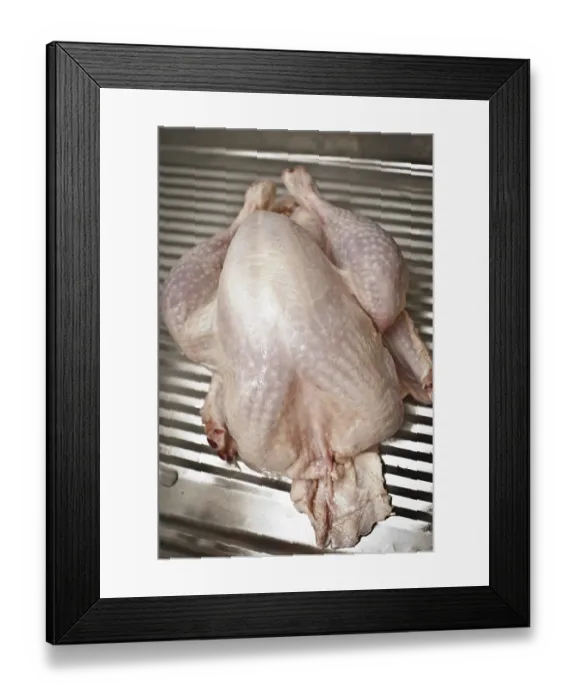 Framed Print : Turkey Framed Print : Turkey
