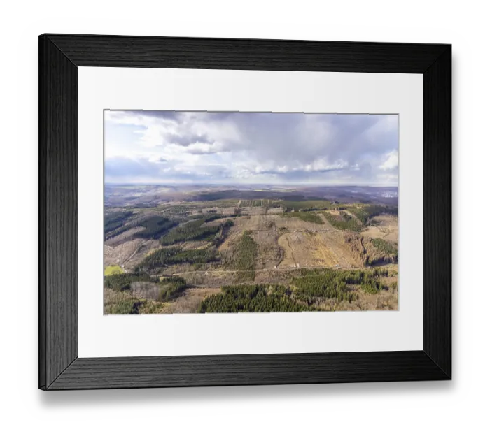 Framed Print : Aerial photo, forest damage in the forest area near Hellefeld