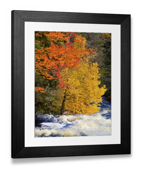 Framed Print : Du Fou River, La Mauricie National Park