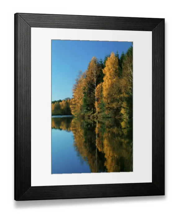Framed Print : Mixed forest in autumn mirrored in pond