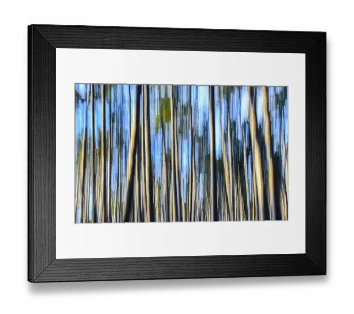 Framed Print : Forest Lower Franconia