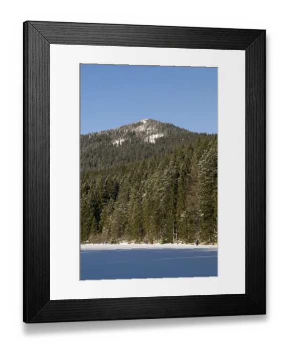 Framed Print : GroBer Arbersee, forest lake