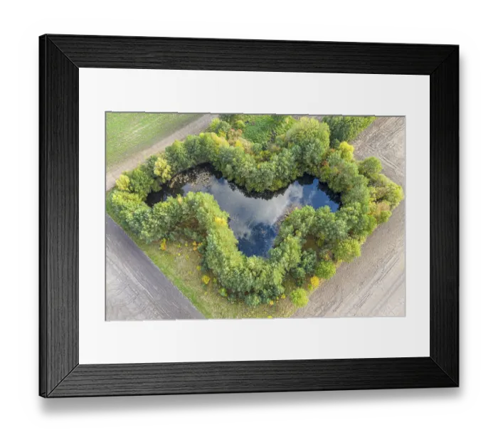 Framed Print : Small pond on farmland, surrounded by bushes