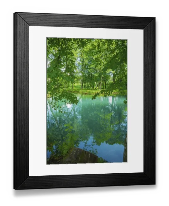Framed Print : Lake in forest Framed Print : Lake in forest