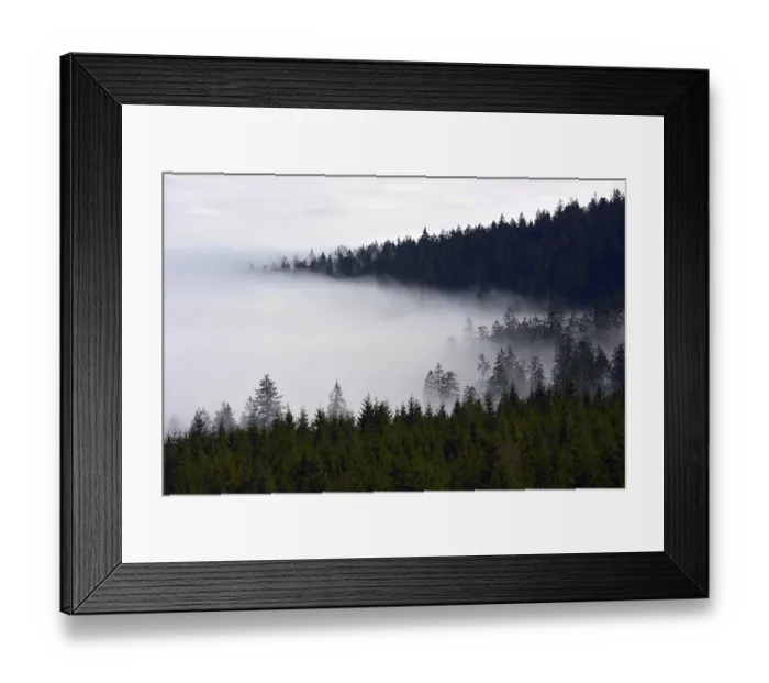 Framed Print : North, Black Forest near Kaltenbronn Framed Print : North, Black Forest near Kaltenbronn