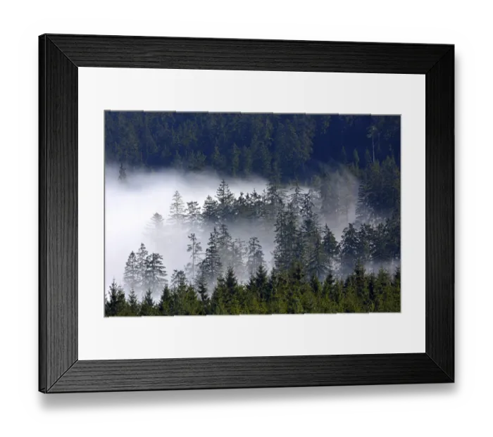 Framed Print : North, Black Forest near Kaltenbronn
