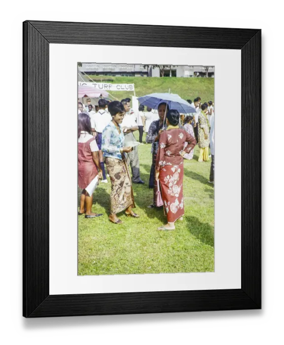 Framed Print : Garden fete community event in the grounds of HMS Terror naval base Framed Print : Garden fete community event in the grounds of HMS Terror naval base
