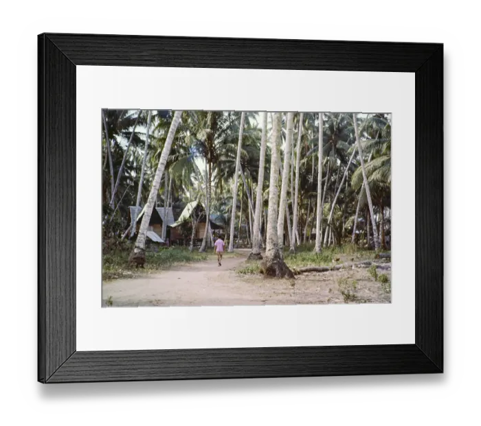 Framed Print : Traditional village houses in coconut palm trees Framed Print : Traditional village houses in coconut palm trees