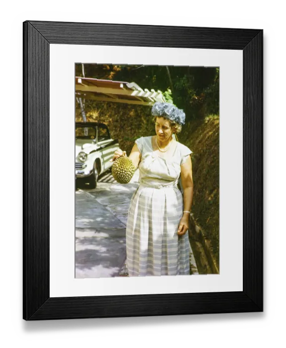 Framed Print : British expatriate woman holding a durian fruit