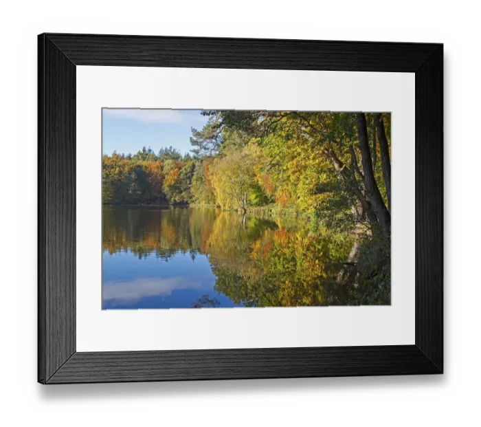 Framed Print : Autumn