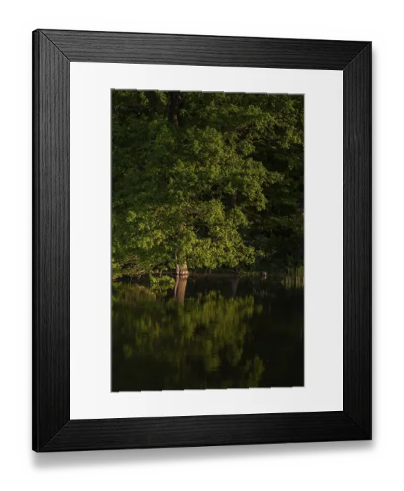 Framed Print : Harz Landscape Pond in the Evening Light