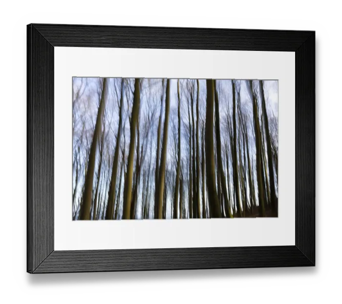 Framed Print : Beech forest photographed with intentional camera movement