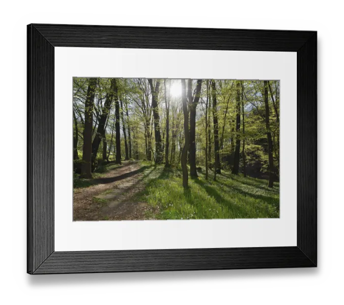 Framed Print : Sohland in Upper Lusatia saxon in spring Framed Print : Sohland in Upper Lusatia saxon in spring