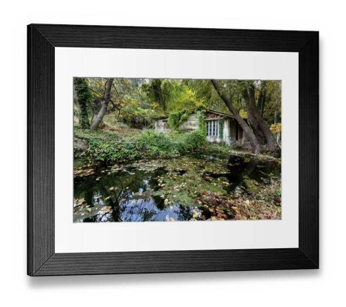 Framed Print : Abandoned house in the forest in autumn with yellow maple leaves in the ground