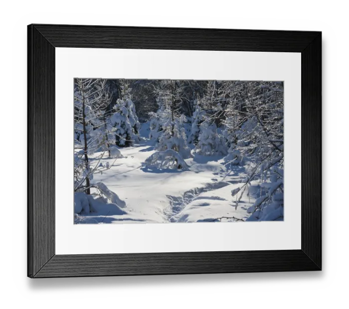 Framed Print : Nice photo of winter forest covered by white snow Framed Print : Nice photo of winter forest covered by white snow