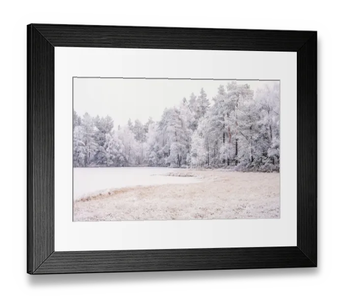 Framed Print : Frosty trees by a lake in the forest on a cold winter day Framed Print : Frosty trees by a lake in the forest on a cold winter day