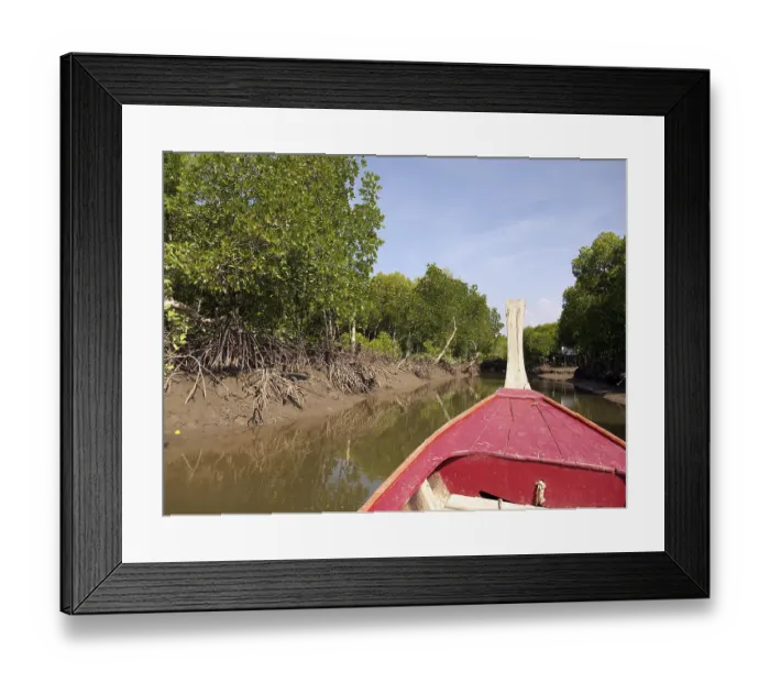 Framed Print : Boat, mangrove forests of Koh Lanta Marine National Park