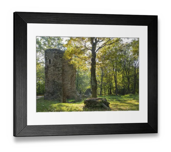 Framed Print : Castle ruin Wustes Schloss Osterland