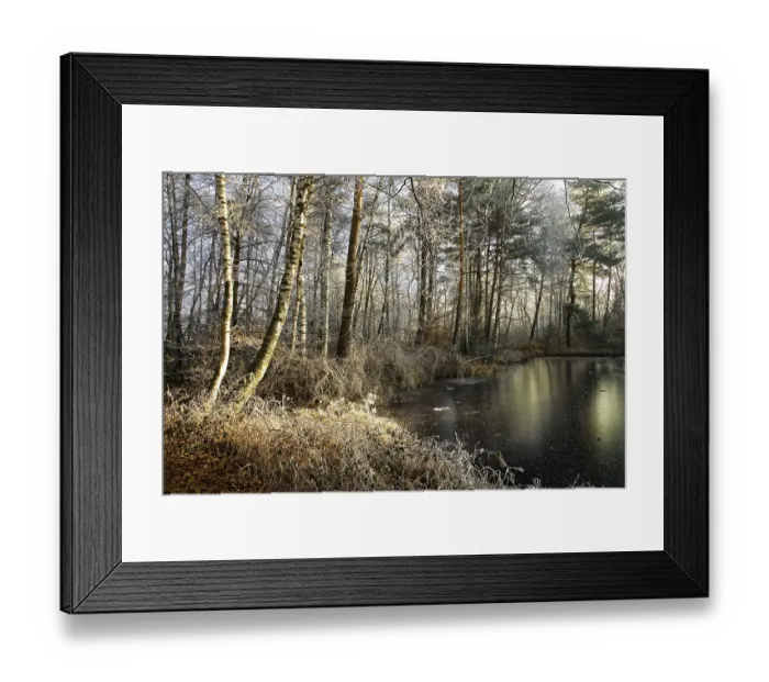 Framed Print : Winterly moorlands, Duedingen, Duedingen Framed Print : Winterly moorlands, Duedingen, Duedingen