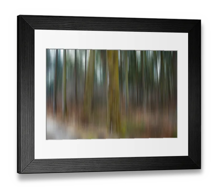 Framed Print : Forest, blurred