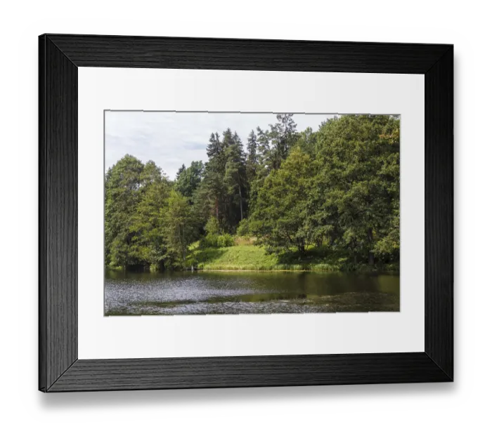 Framed Print : A forest lake surrounded by trees