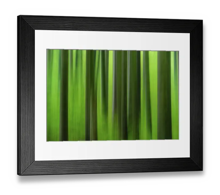 Framed Print : Forest in autumn in the holy halls
