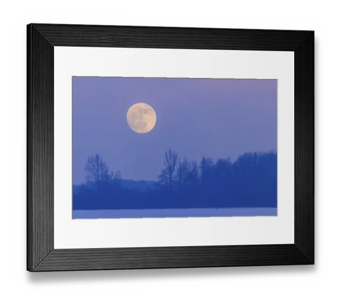 Framed Print : Moonrise over the Dummer, Oldenburger Munsterland