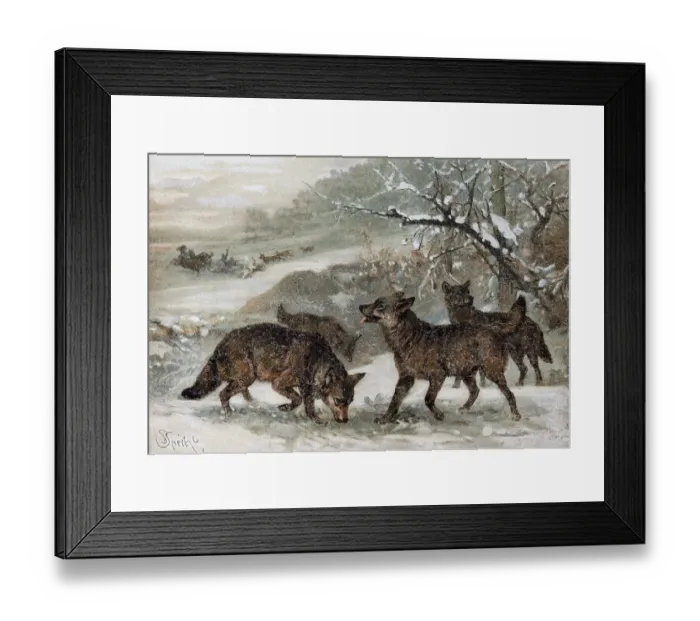 Framed Print : Wolf (Canis lupus), pack of wolves in the snow