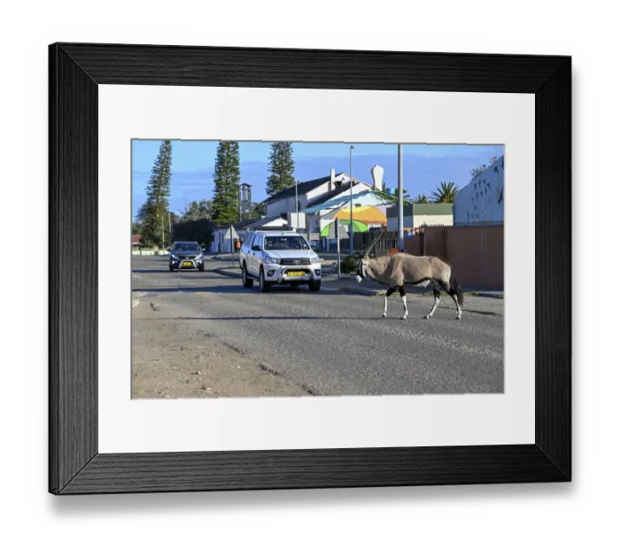 Framed Print : Oryx antelope or gemsbok (Oryx gazella) crossing a road