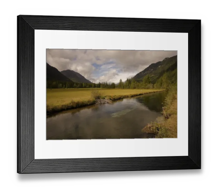 Framed Print : Ettaler Weidemoos, moss, wetland biotope Framed Print : Ettaler Weidemoos, moss, wetland biotope