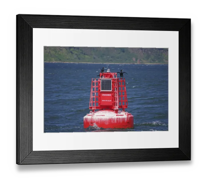 Framed Print : A red buoy with a cormorant rests on the sea