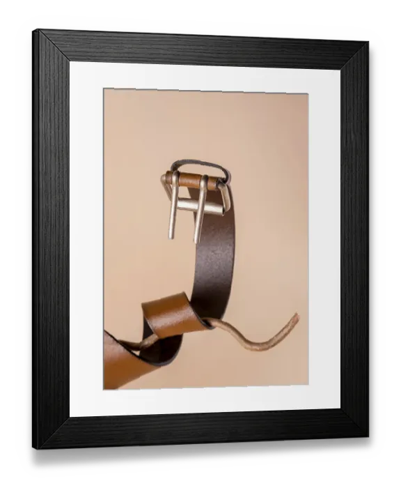Framed Print : A red belt wrapped around a branch like a snake Framed Print : A red belt wrapped around a branch like a snake