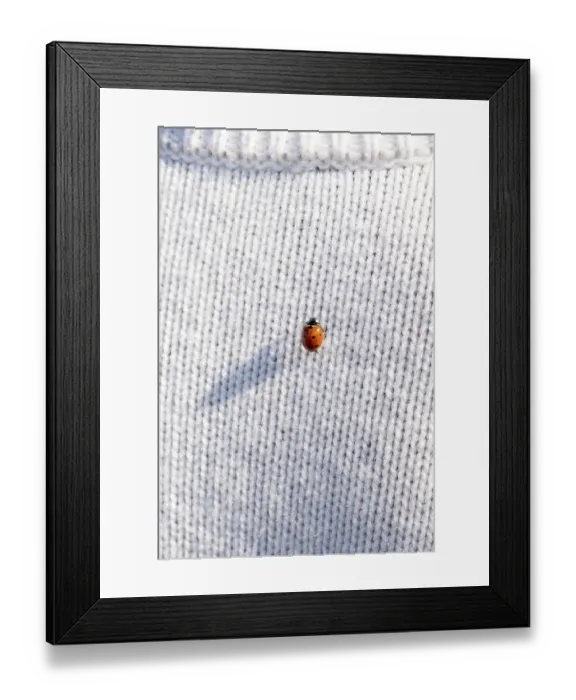 Framed Print : Ladybug on a white knitted jumper, copy space