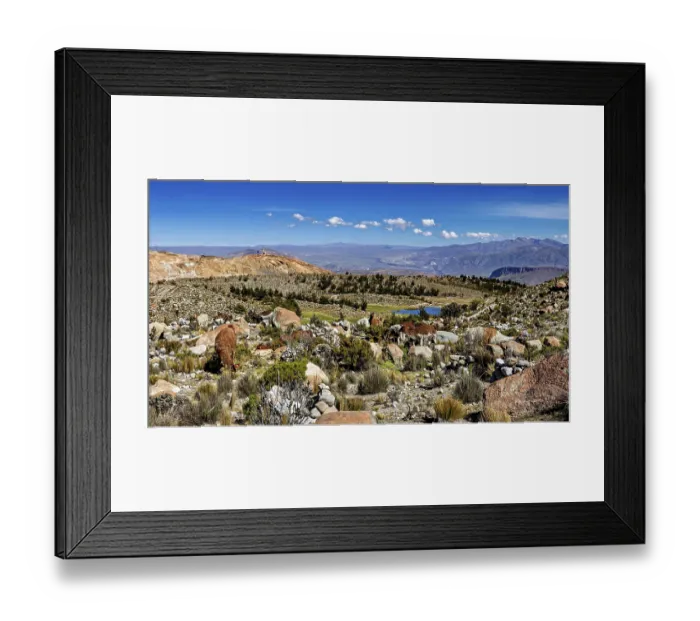 Framed Print : Alpacas grazing in a vast mountain landscape with views of distant peaks Framed Print : Alpacas grazing in a vast mountain landscape with views of distant peaks