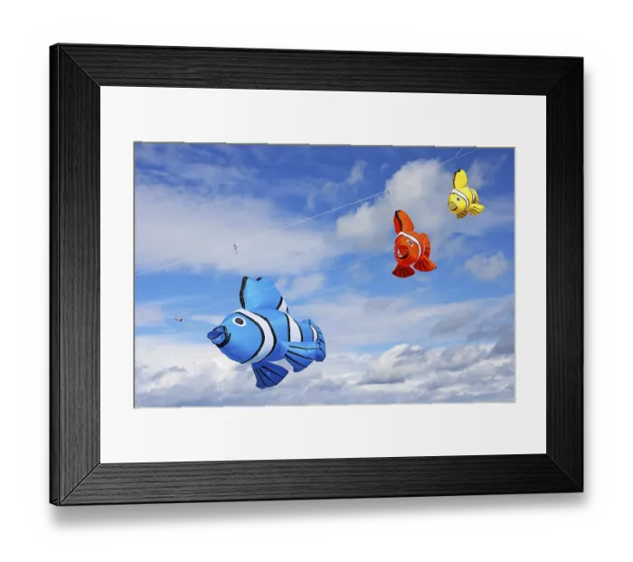 Framed Print : Kite festival, international kite festival