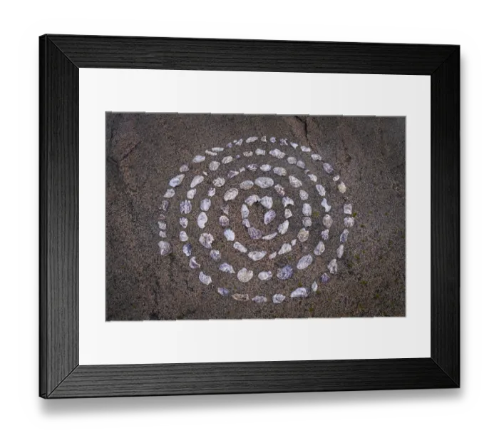 Framed Print : Shell mandala, circle made of shells on a granite rock