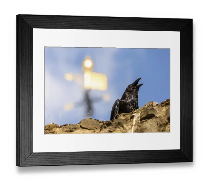Framed Print : Raven calling out from atop a stone wall with a golden spire in the background at The Tower of London