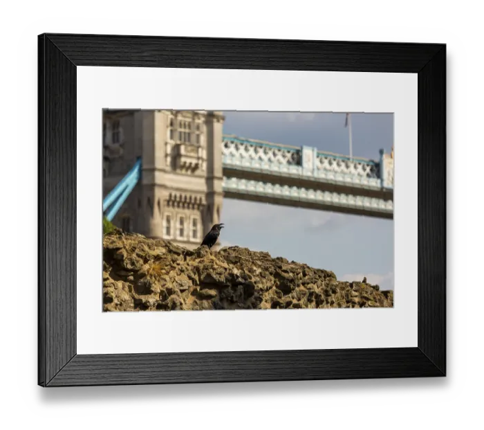 Framed Print : Stone wall with a raven and the iconic Tower Bridge looming in the sunny background at The Tower of London