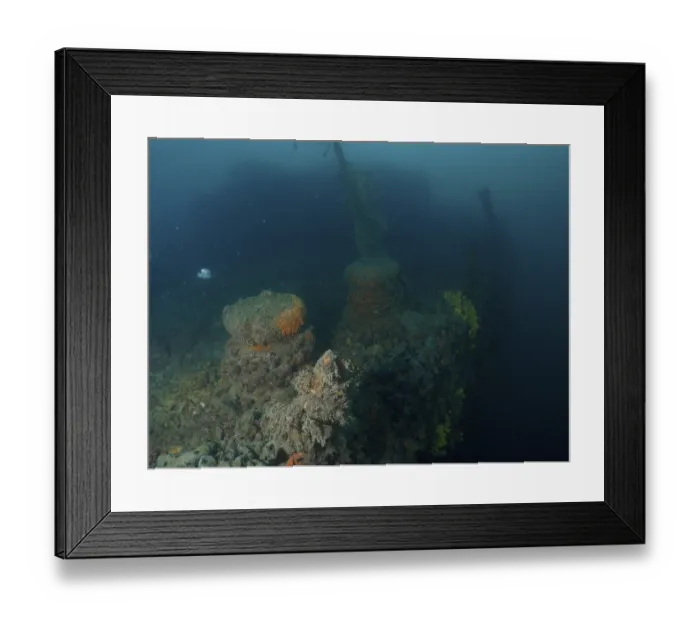 Framed Print : Underwater image of a coral-covered shipwreck in murky surroundings Framed Print : Underwater image of a coral-covered shipwreck in murky surroundings