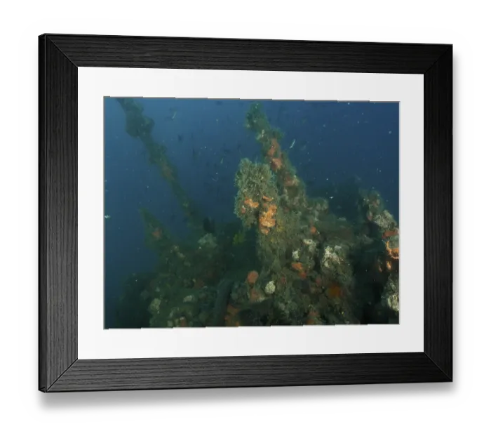 Framed Print : The superstructure of a shipwreck overgrown with algae and sponges in the deep ocean