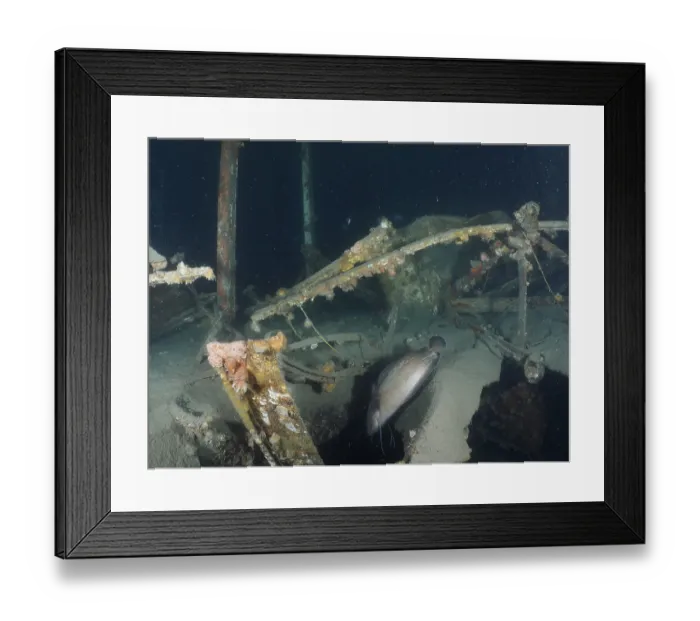 Framed Print : Photograph from inside a rusty wreck under water Framed Print : Photograph from inside a rusty wreck under water